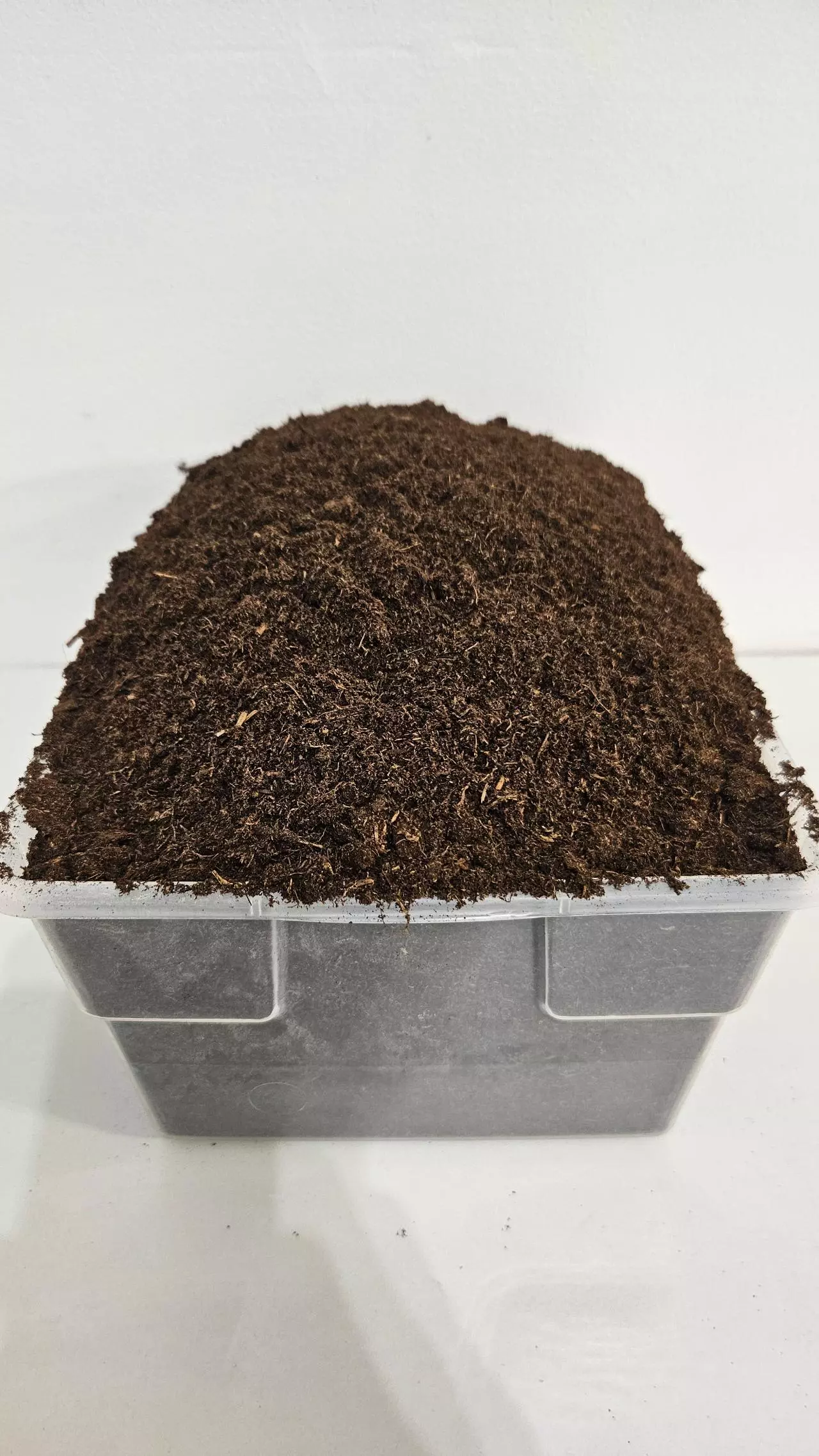 plant/Sphagnum Peat Moss (8 Quarts)-0