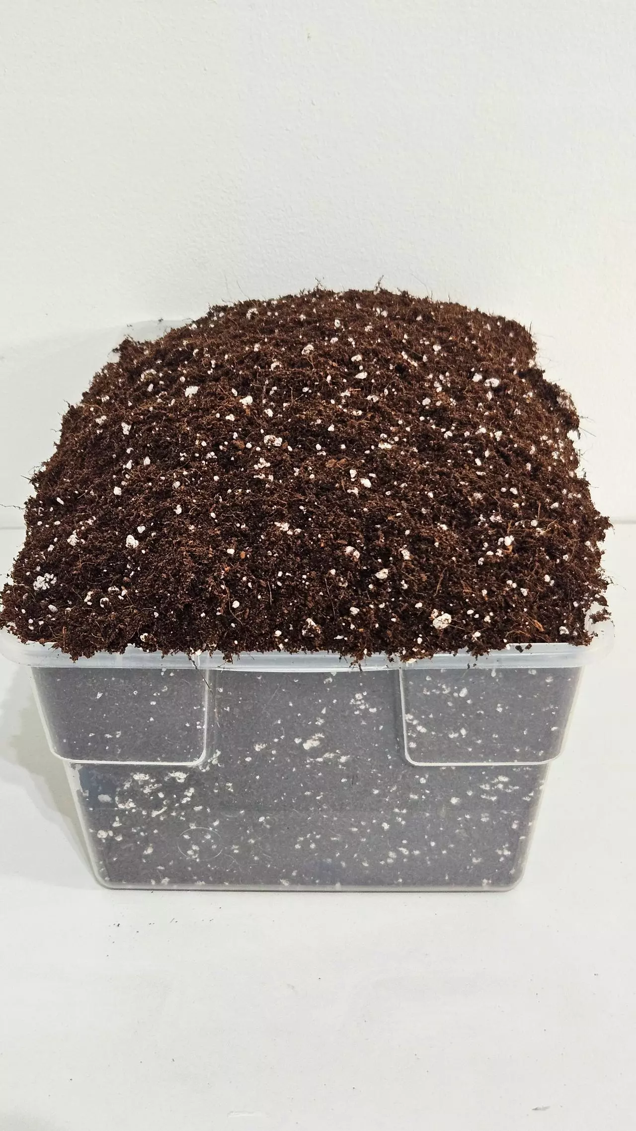 plant/50/50 Coco Coir & Perlite Mix (8 Quarts)-0