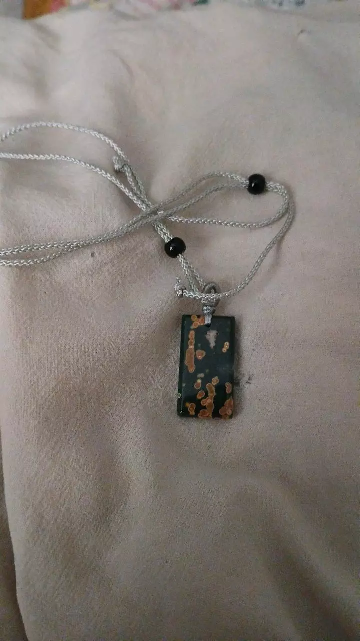 plant/Adjustable Jasper Pendent Necklace-0