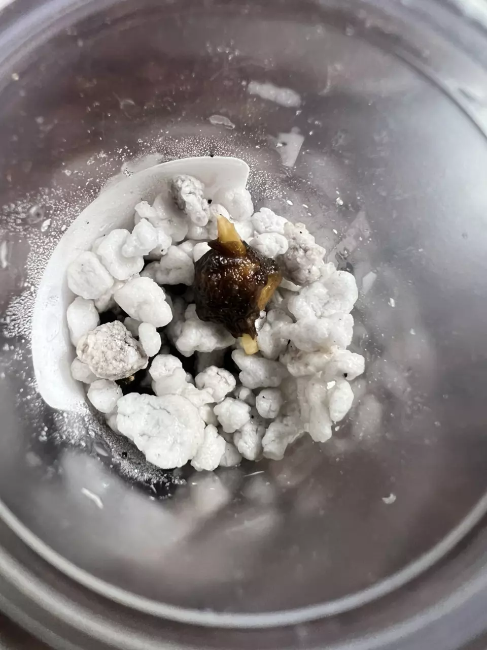 plant/Alocasia Venom Corm-2