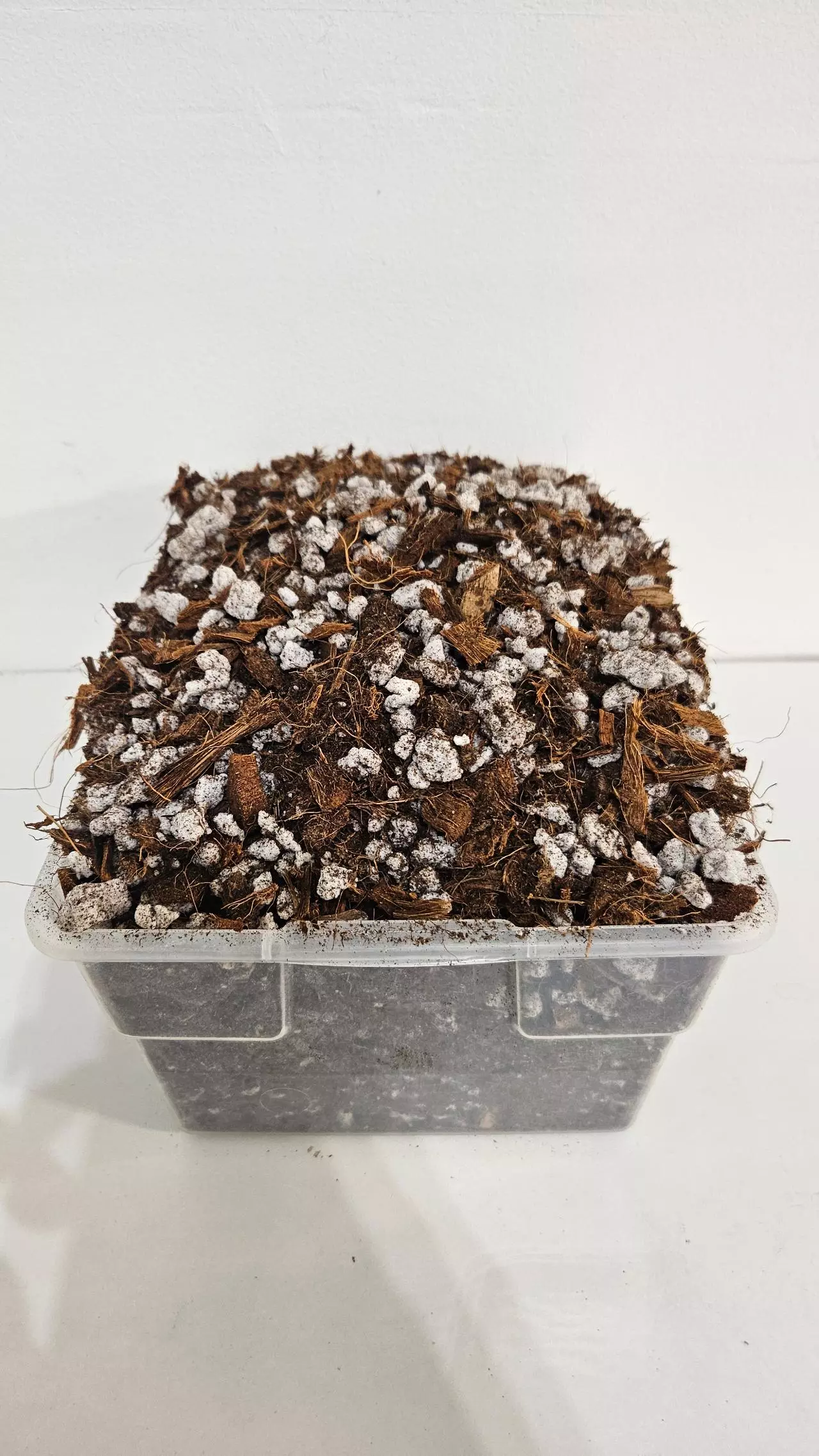 plant/LUSH Aroid Soilless Blend (8 Quarts)-0