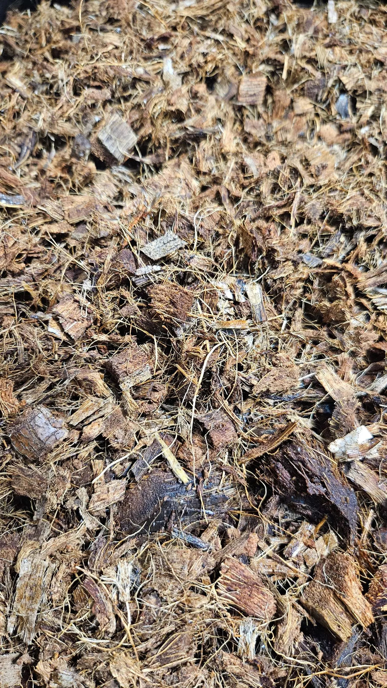 plant/Coconut Husk/Chips - 6 Quarts-1