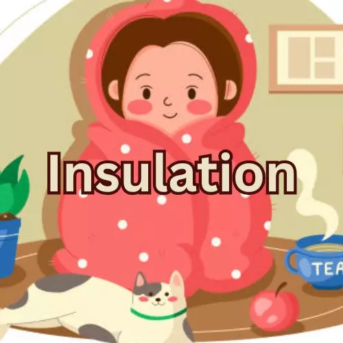 plant/EXTRA Insulation (Outer)-0