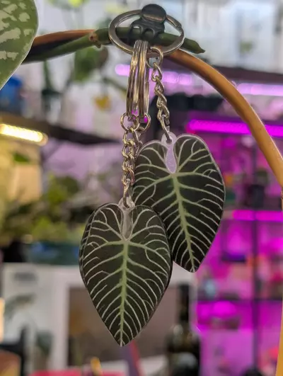 plant/Plant keychain #6-0-thumbnail