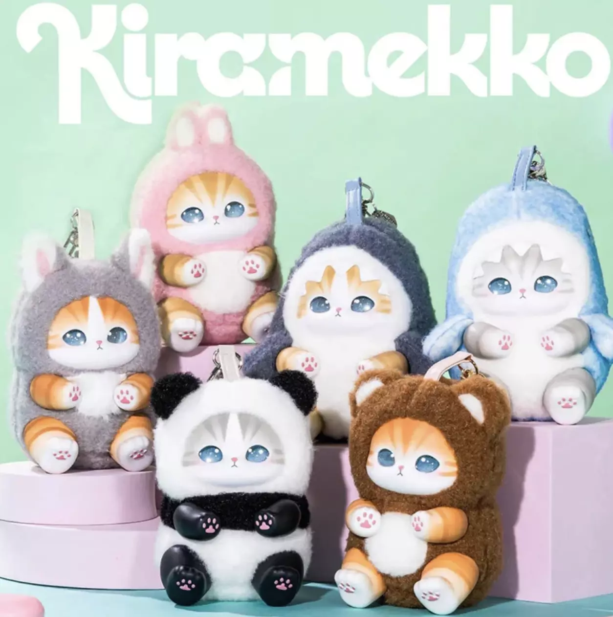 plant/1Box Mousfond Kiramekko-0