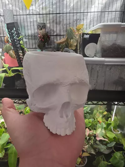 plant/Skull planter-0-thumbnail