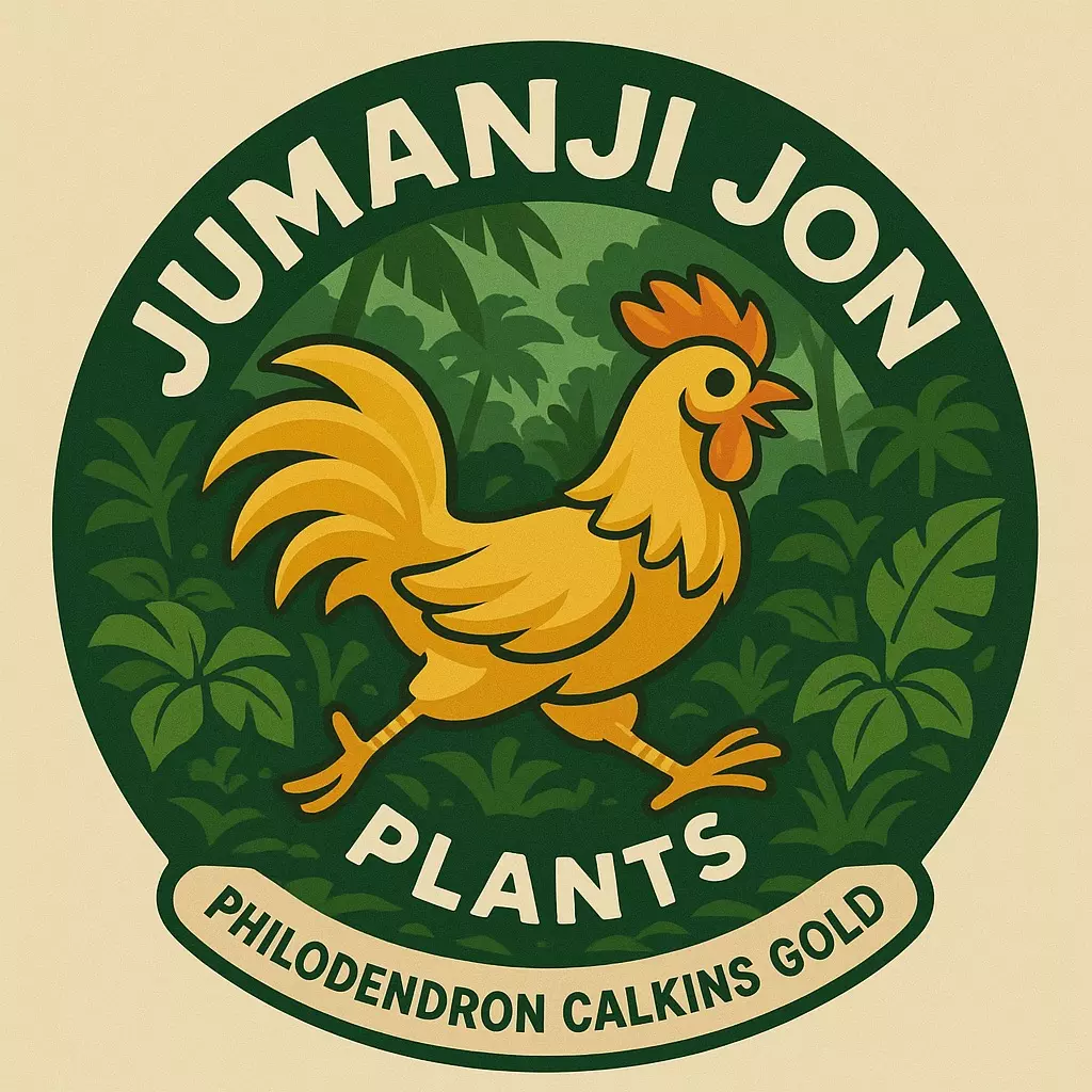 plant/10 Pack of Philodendron Calkins Gold TC-0