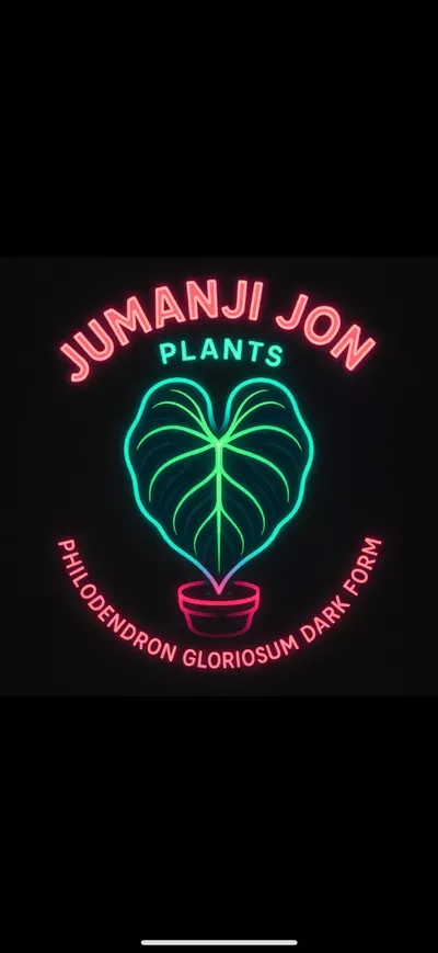 plant/10 Pack of Philodendron Gloriousum Dark Form TC-0-thumbnail