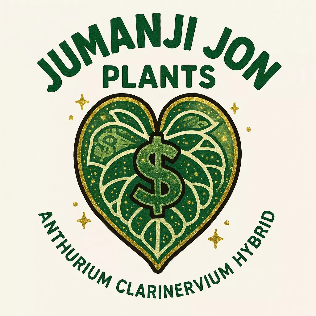 plant/10 Pack of Anthurium Clarinervium Hybrid TC-0