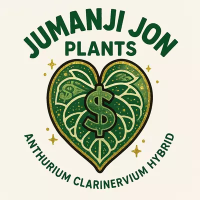 plant/10 Pack of Anthurium Clarinervium Hybrid TC-0-thumbnail