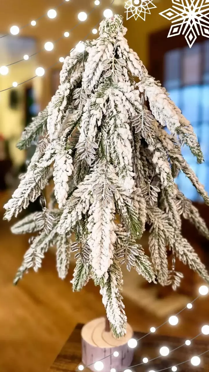 plant/2025 Holiday Ornament-5