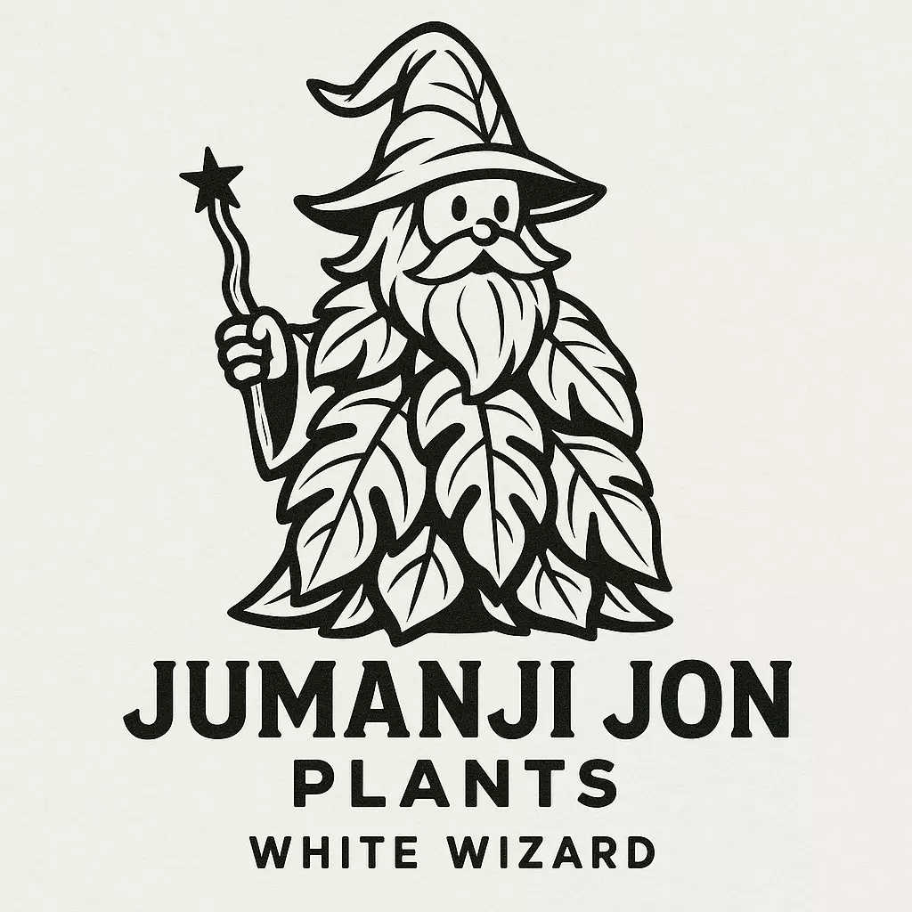 plant/10 Pack of Philodendron White Wizard TC-0