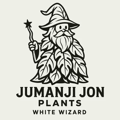 plant/10 Pack of Philodendron White Wizard TC-0-thumbnail