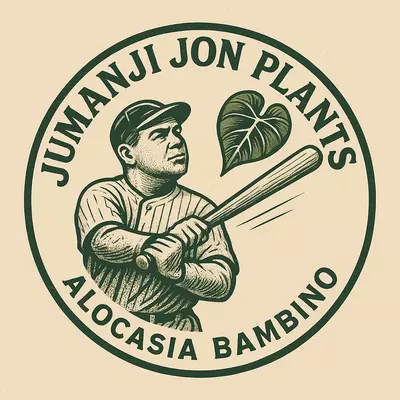 plant/10 Pack of Alocasia Bambino TC with a chance of variegation-0-thumbnail