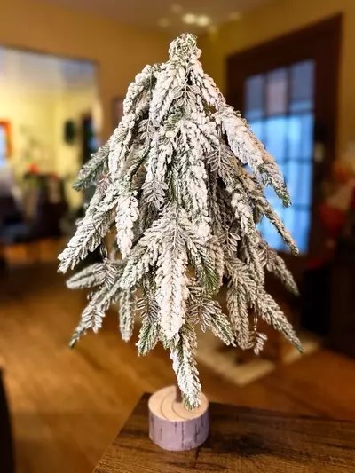 plant/2025 Holiday Ornament-4-thumbnail