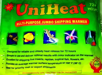 plant/HEAT PACK 🔥-0-thumbnail