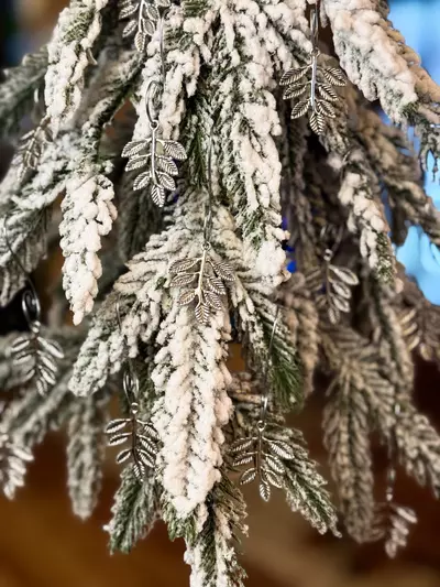 plant/2025 Holiday Ornament-2-thumbnail