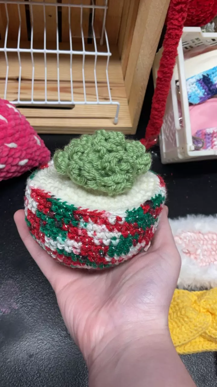 plant/Christmas potted plant!-0