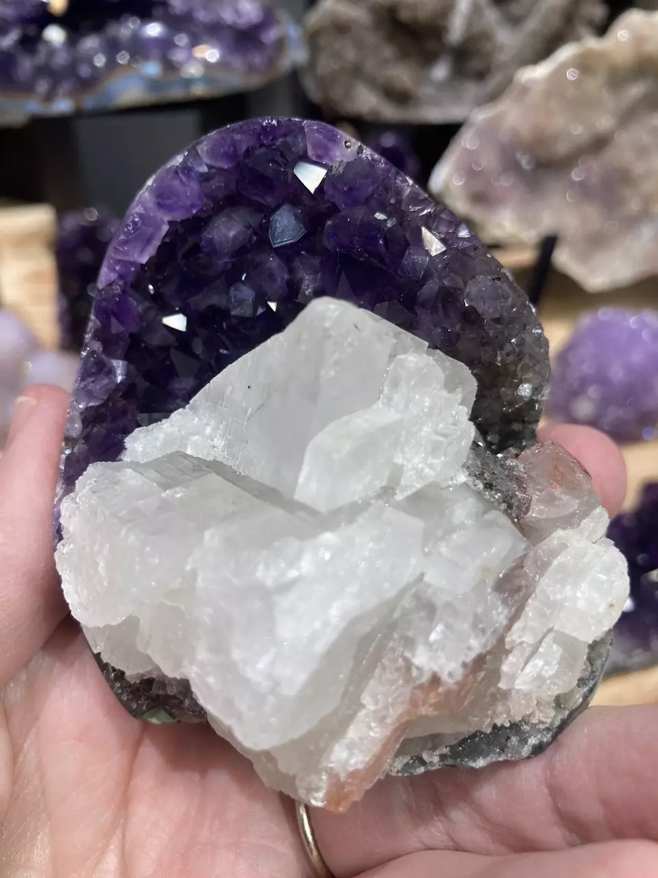 plant/Amethyst and calcite cut base-0