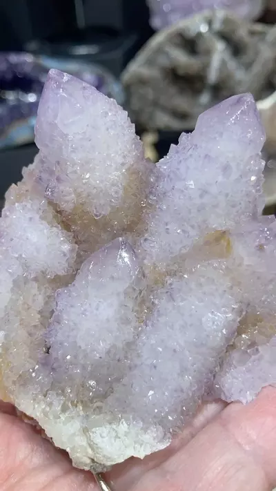 plant/Cactus Quartz-0-thumbnail