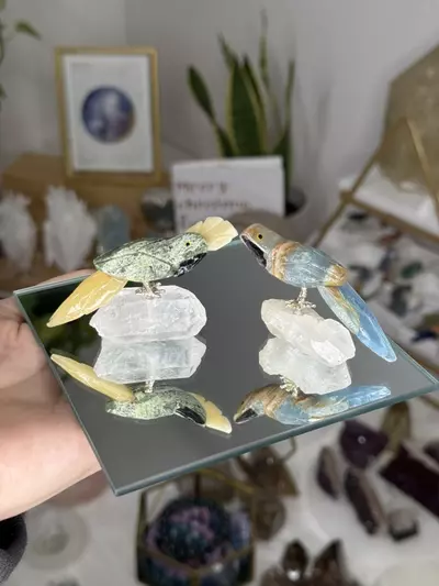 plant/2 Birds for mandie-0-thumbnail