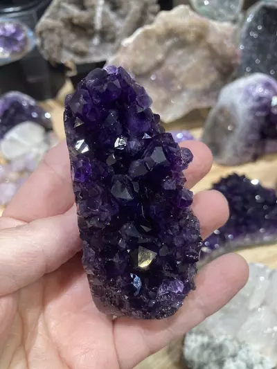 plant/Amethyst cut base-1-thumbnail