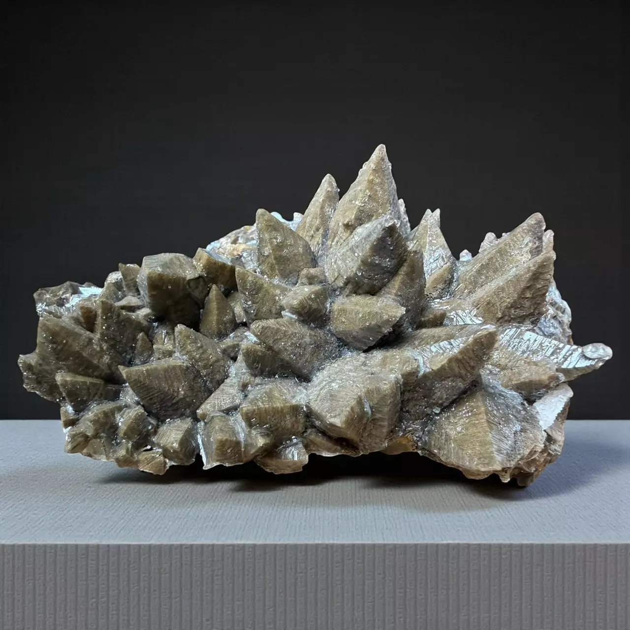 plant/Dogtooth Calcite Mineral Specimen-0