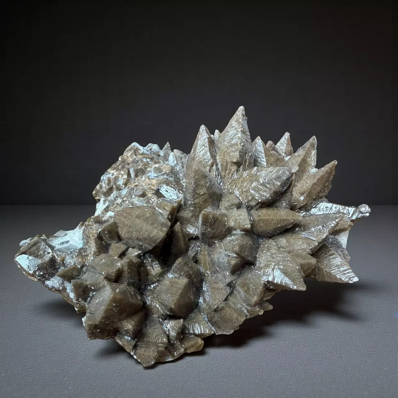 plant/Dogtooth Calcite Mineral Specimen-1