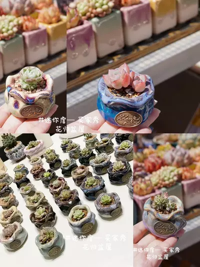 plant/【43】Thumb, 3.5*3.5cm, various colors to choose-1-thumbnail