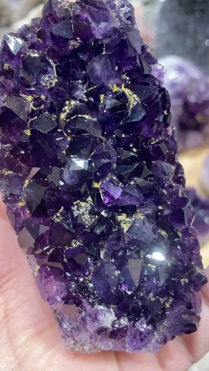 plant/Amethyst cut base-1