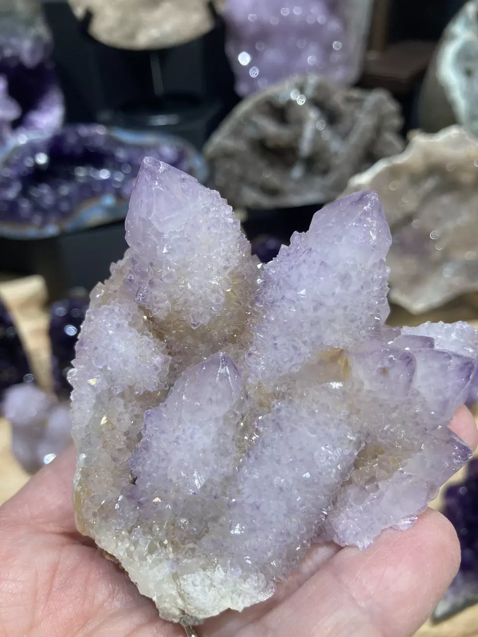 plant/Cactus Quartz-1