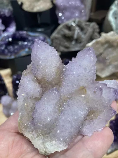 plant/Cactus Quartz-1-thumbnail