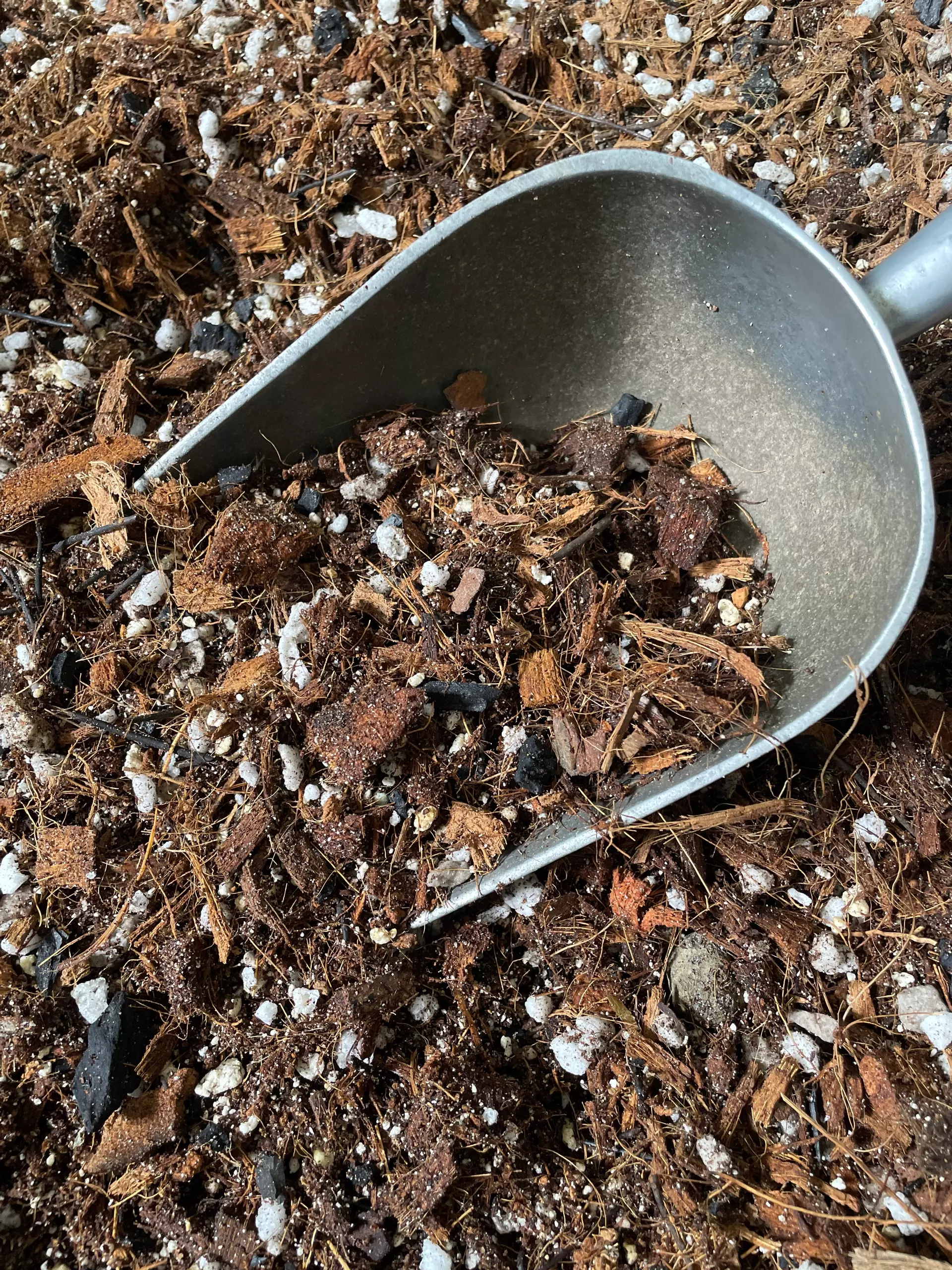 plant/FloriCulture "Shaggy" Coco Based Aroid, Hoya & General Tropical Mix-0