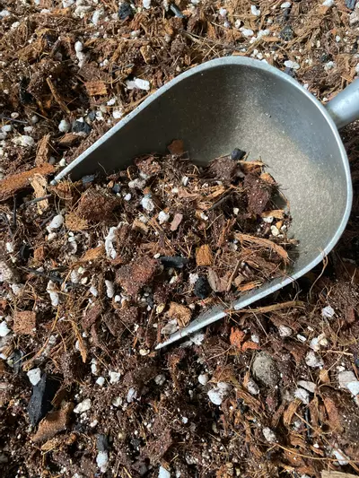 plant/FloriCulture "Shaggy" Coco Based Aroid, Hoya & General Tropical Mix-0-thumbnail