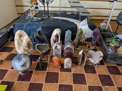 plant/Geeky Bear-0-thumbnail