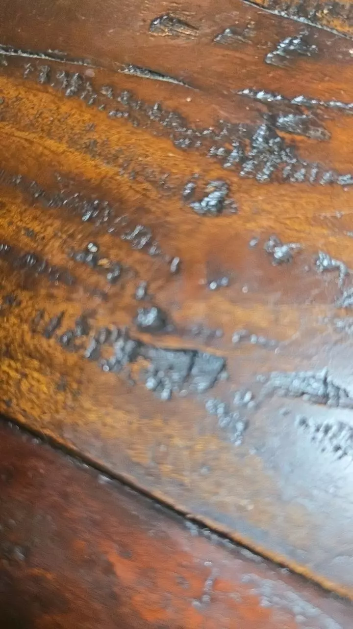 plant/Mmmmm 194 g pangaea sold-0