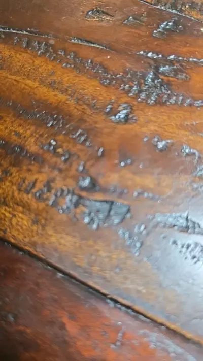 plant/Mmmmm 194 g pangaea sold-0-thumbnail