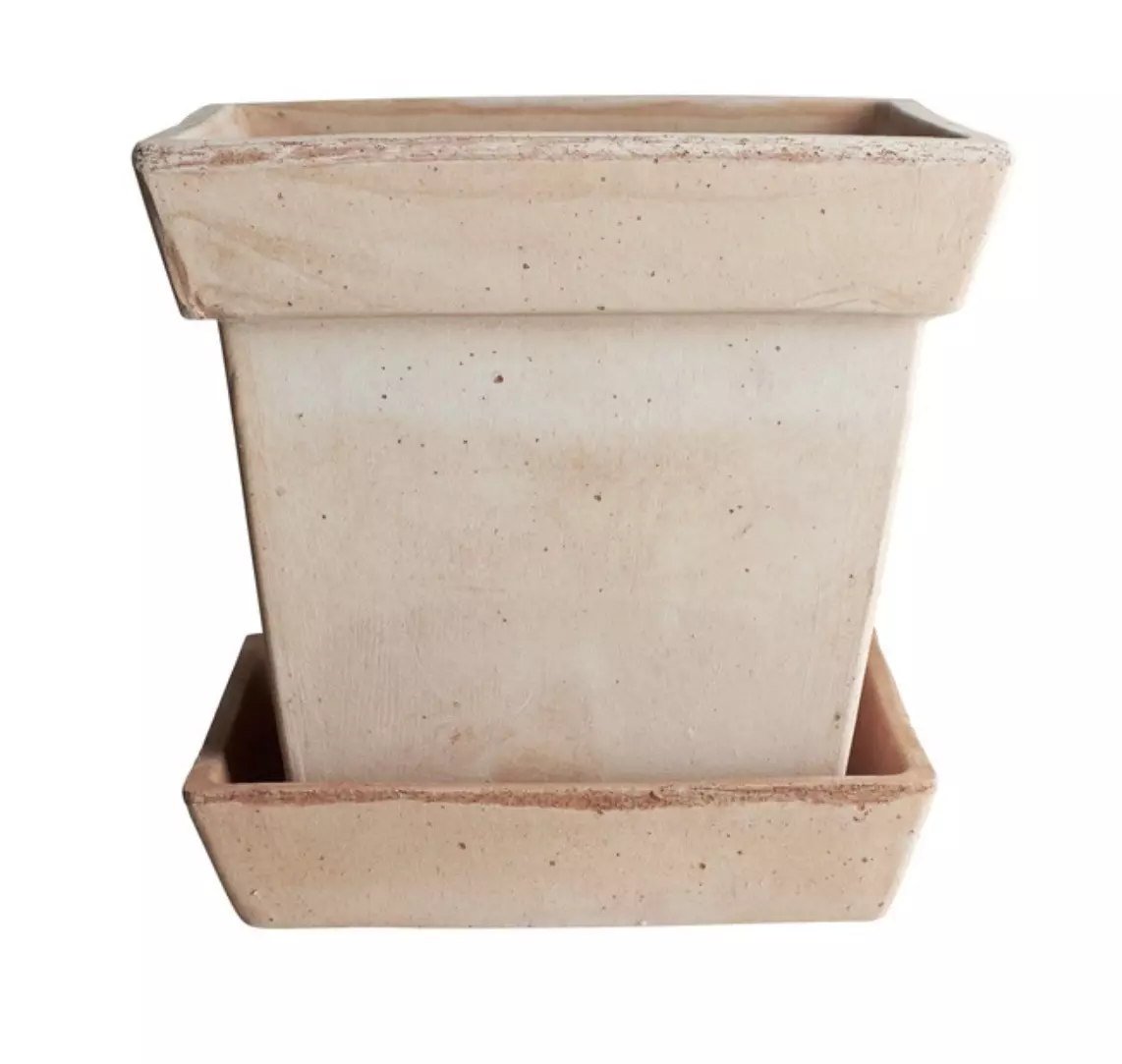 plant/SPECIAL ORDER: Bergs Gaia Square Pot Raw Rosa 9.8”-0
