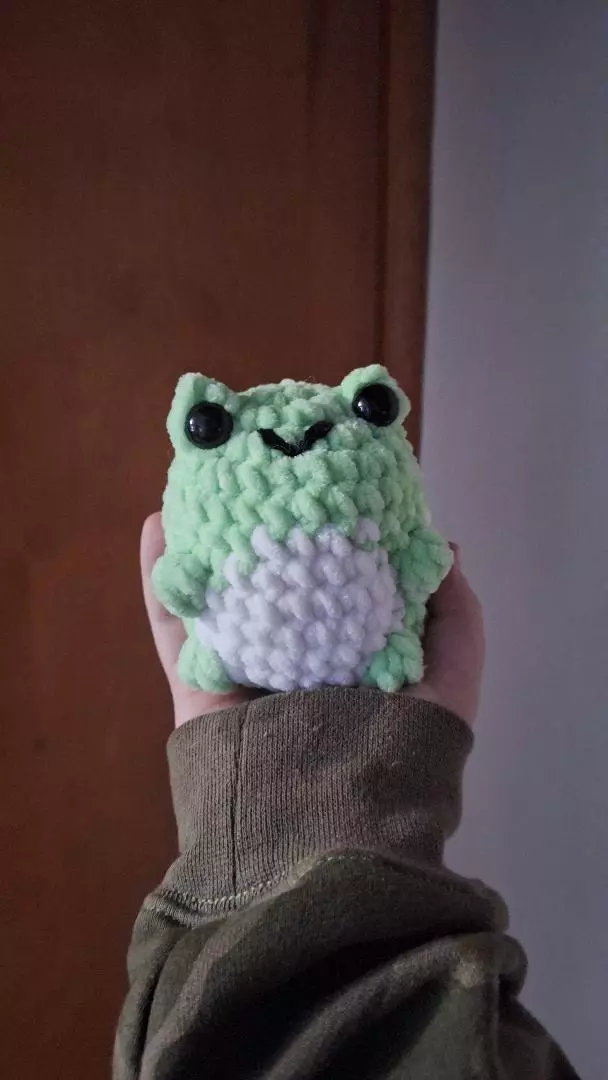 plant/Crochet froggy 🐸-0