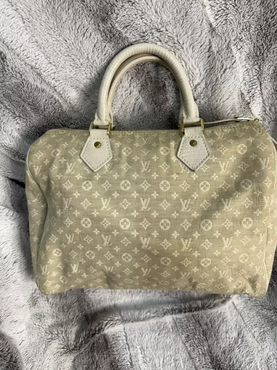 plant/Louis Vuitton mini Lin speedy-1