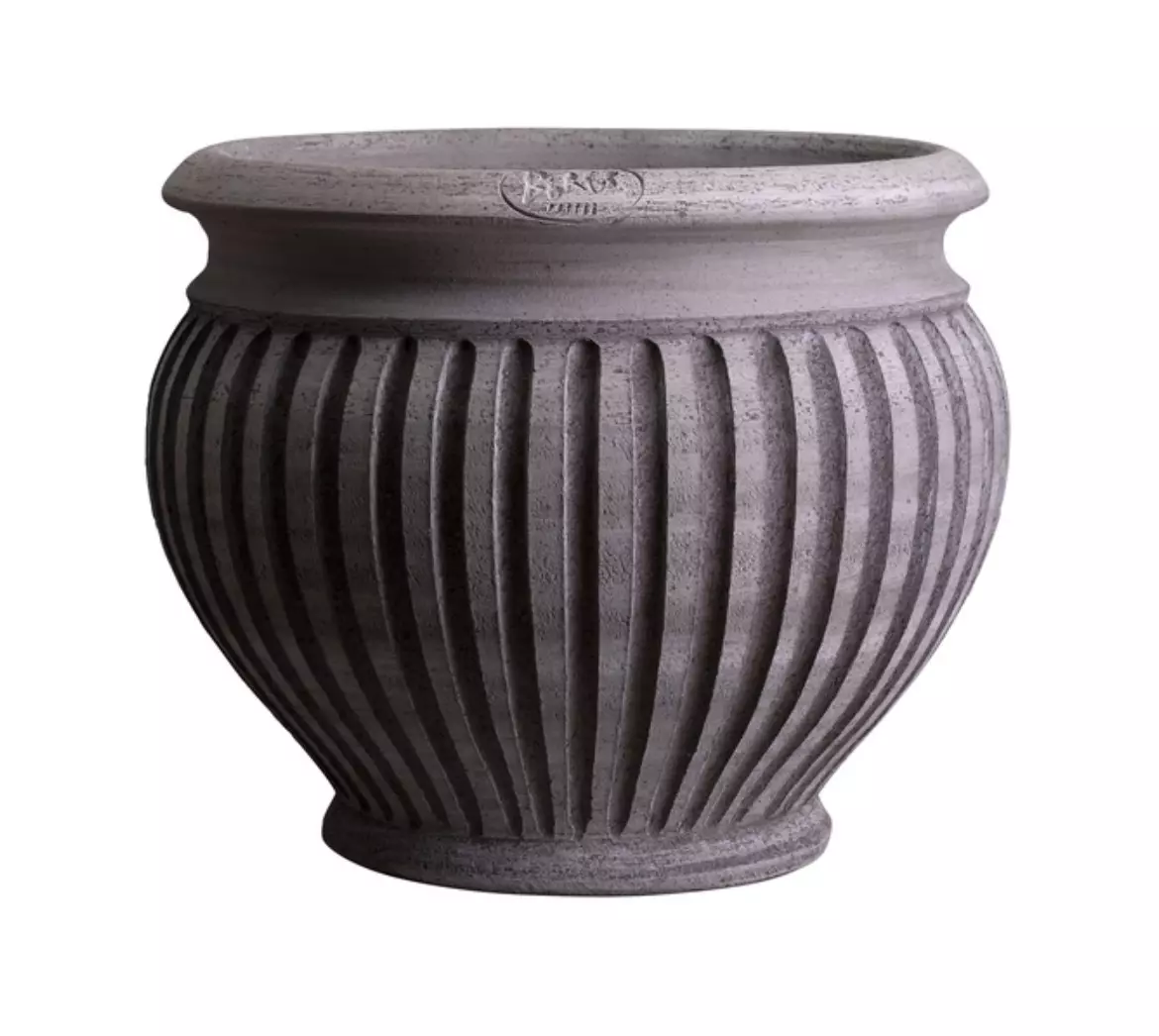 plant/SPECIAL ORDER: Bergs Piccolina Pot Raw Gray 11.8”-0