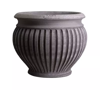 plant/SPECIAL ORDER: Bergs Piccolina Pot Raw Gray 11.8”-0-thumbnail