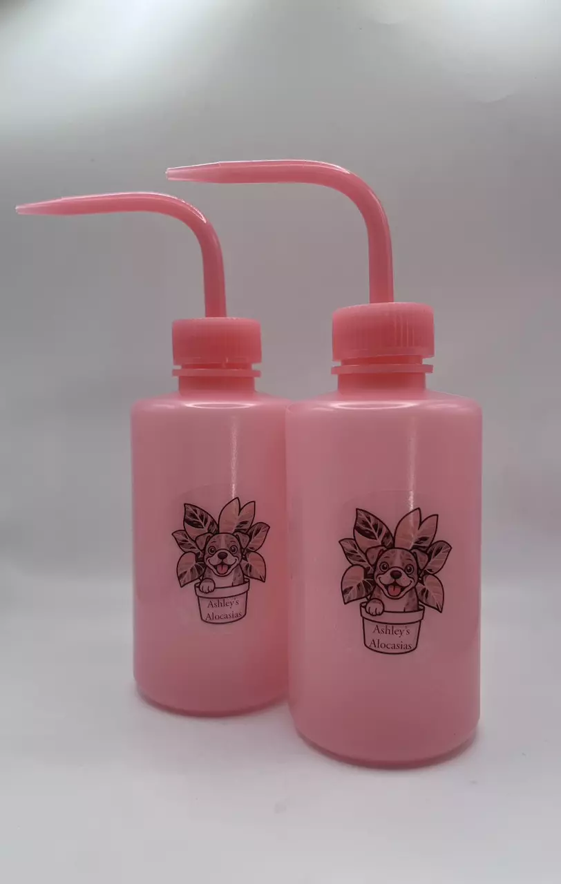 plant/Ashley’s Alocasia Pink Watering Squeeze Bottle – 250ml-0