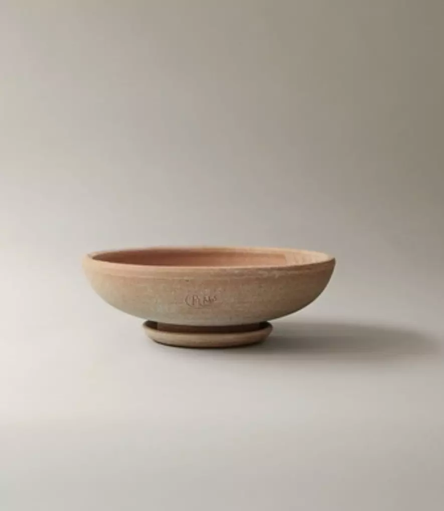 plant/SPECIAL ORDER: Bergs Ada Low Bowl Raw Rosa 11.8”-0