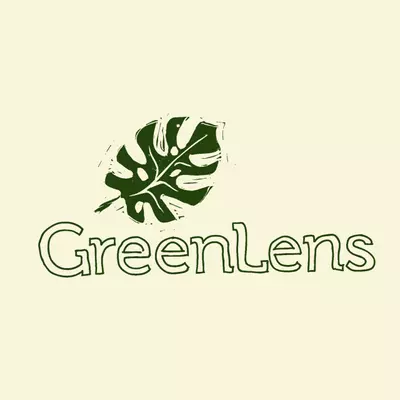 plant/Fine Line Monstera Sweatshirt-0-thumbnail