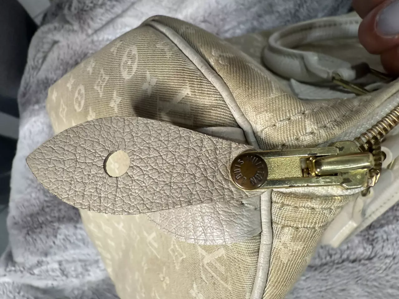 plant/Louis Vuitton mini Lin speedy-6