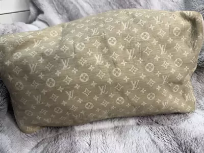 plant/Louis Vuitton mini Lin speedy-2-thumbnail