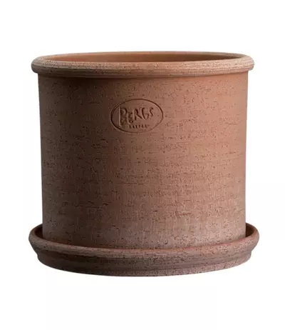 plant/SPECIAL ORDER: Bergs Modena Pot Raw Rosa 11.8”-0-thumbnail