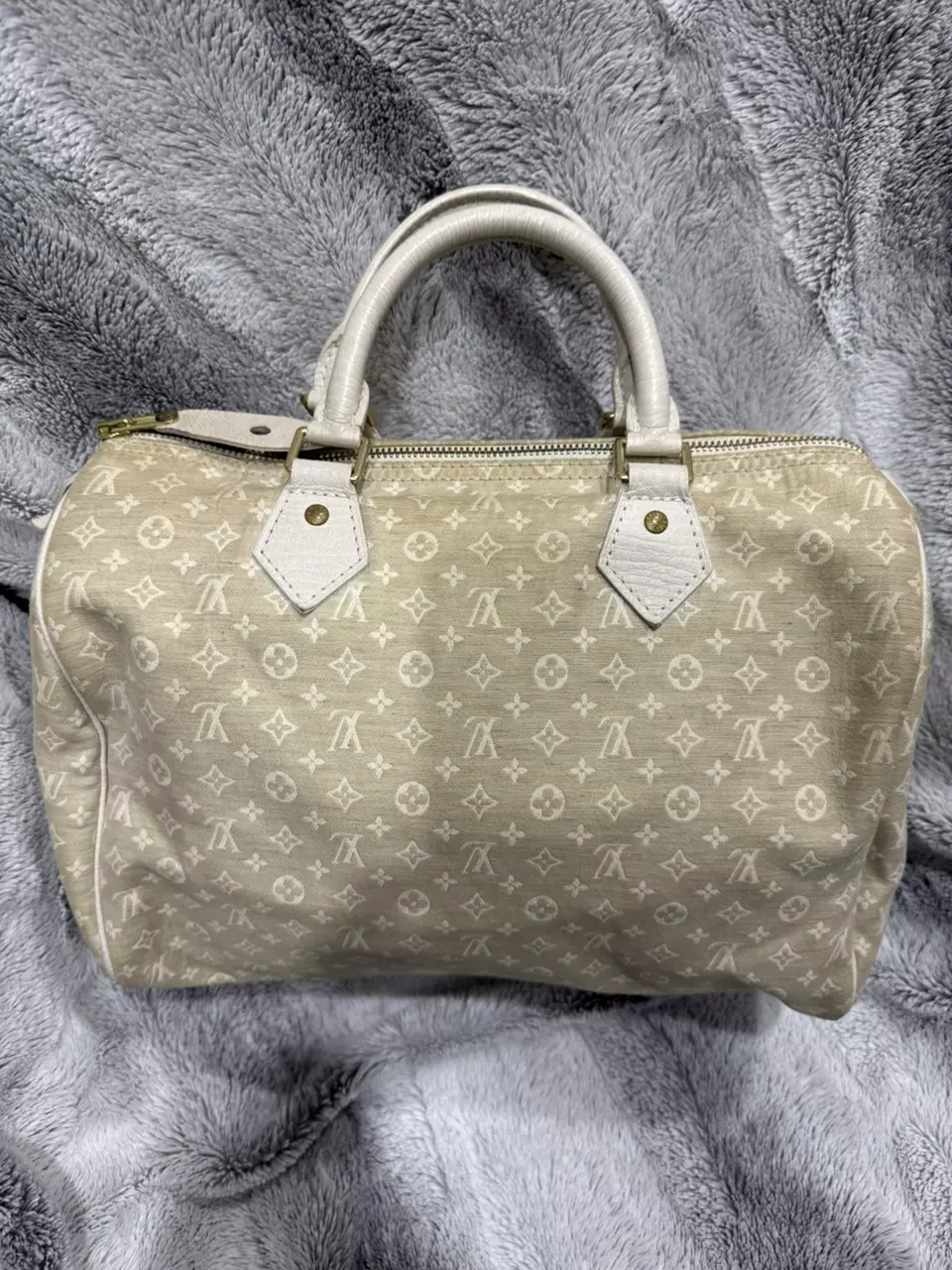 plant/Louis Vuitton mini Lin speedy-0