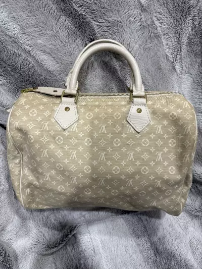 plant/Louis Vuitton mini Lin speedy-0-thumbnail